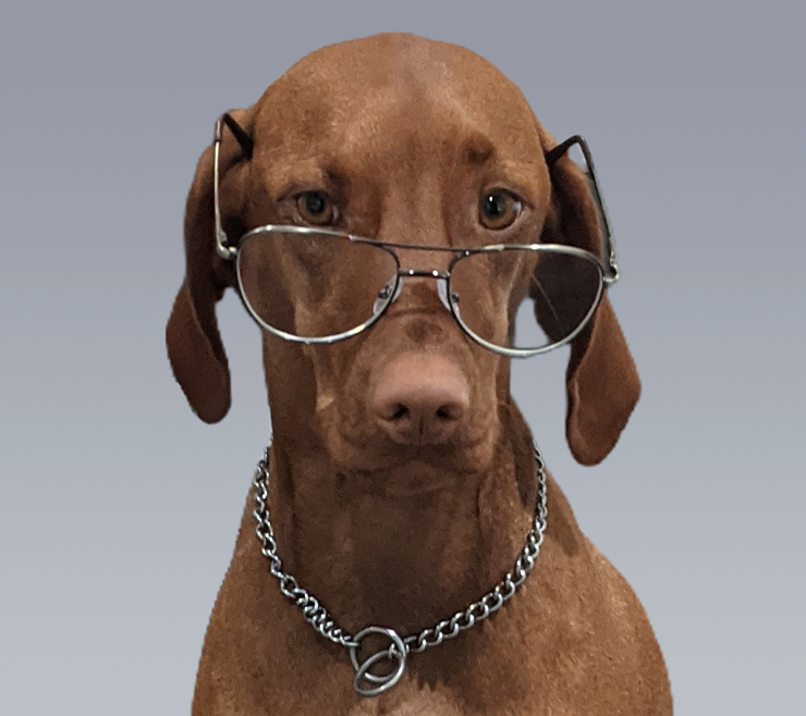 Duke